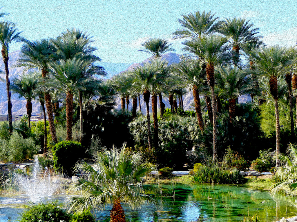 Oasis or Mirage by redy4et