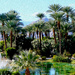 Oasis or Mirage by redy4et