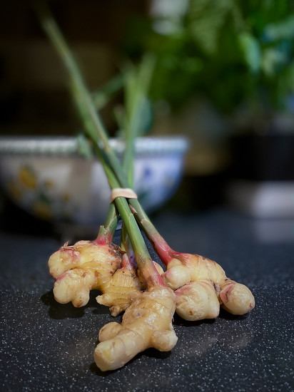 Ginger Root by Junko Y · 365 Project