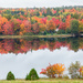 Fall colours by pamknowler