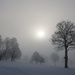 Morning Fog by lynnz