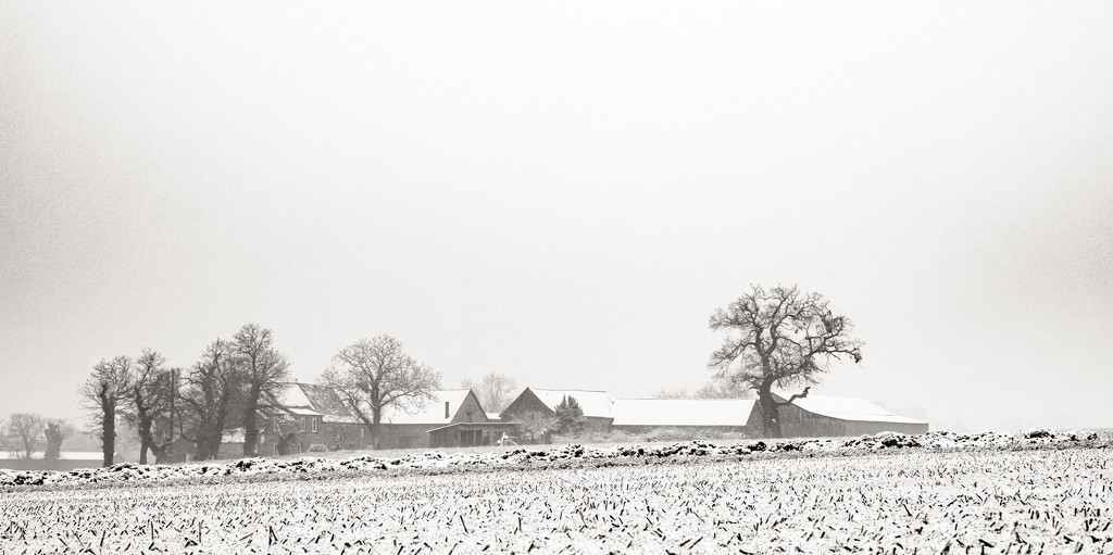 Snowy Farm by vignouse