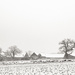 Snowy Farm by vignouse