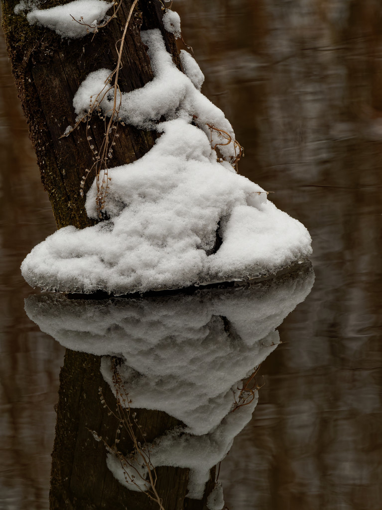 snow reflections by rminer