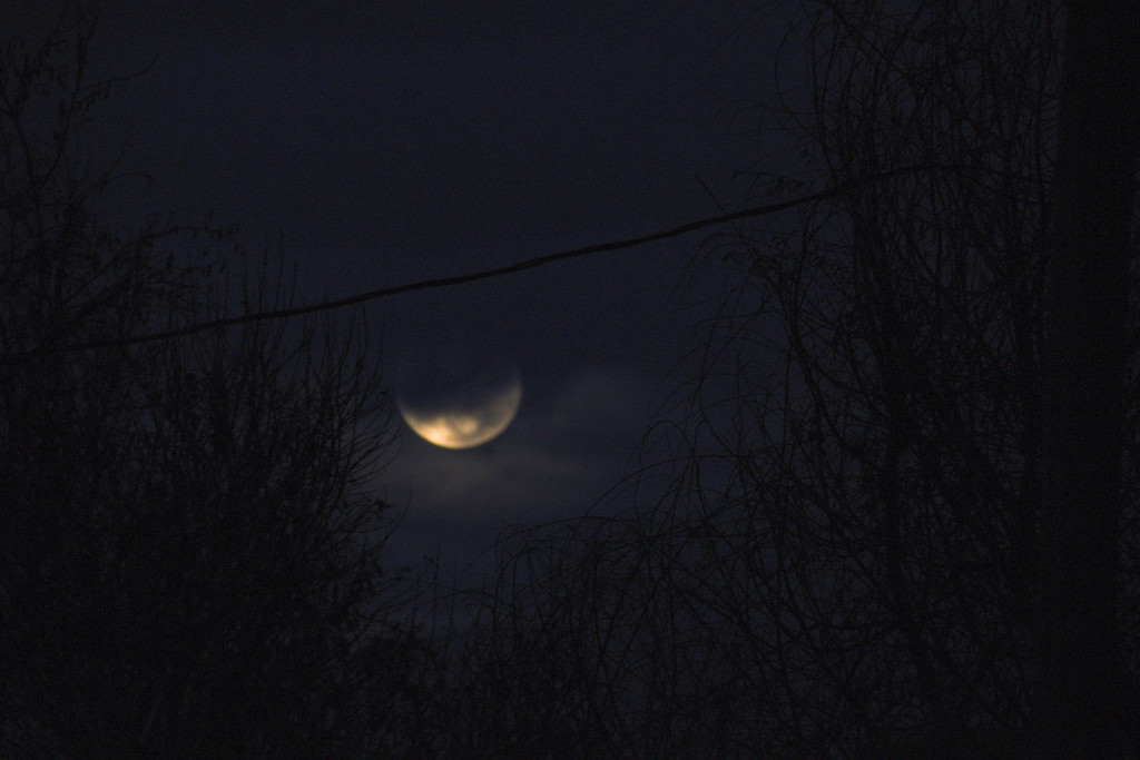 Spooky Moon Shot by bjywamer