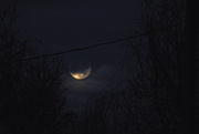 29th Dec 2020 - Spooky Moon Shot