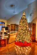 5th Jan 2021 - Christmas Tree