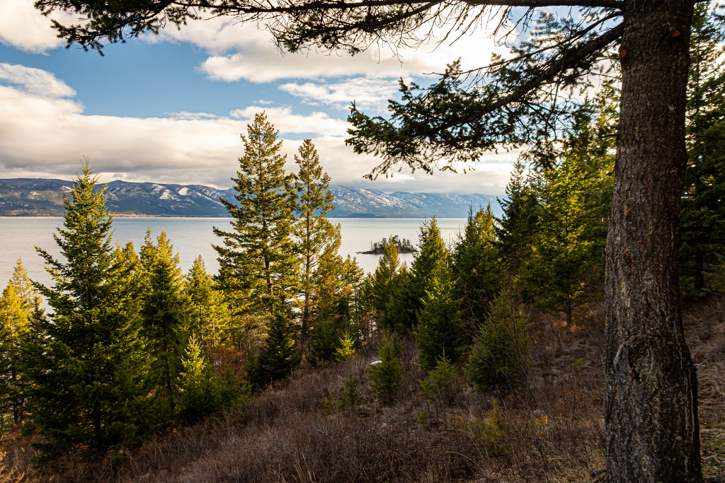 Flathead Lake Overlook by 365karly1