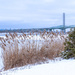 Champlain Bridges 5/365 by dora