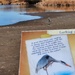 Great Blue Heron at the Wildlife Preserve by janeandcharlie