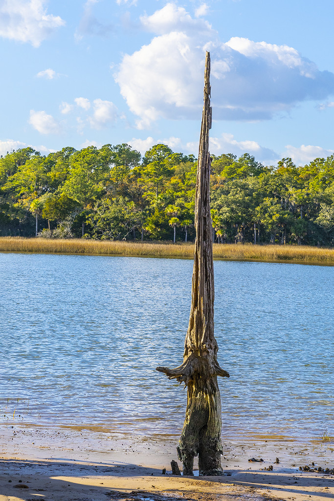 Wizard of the Water by k9photo