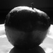 Apple silhouette by tdaug80