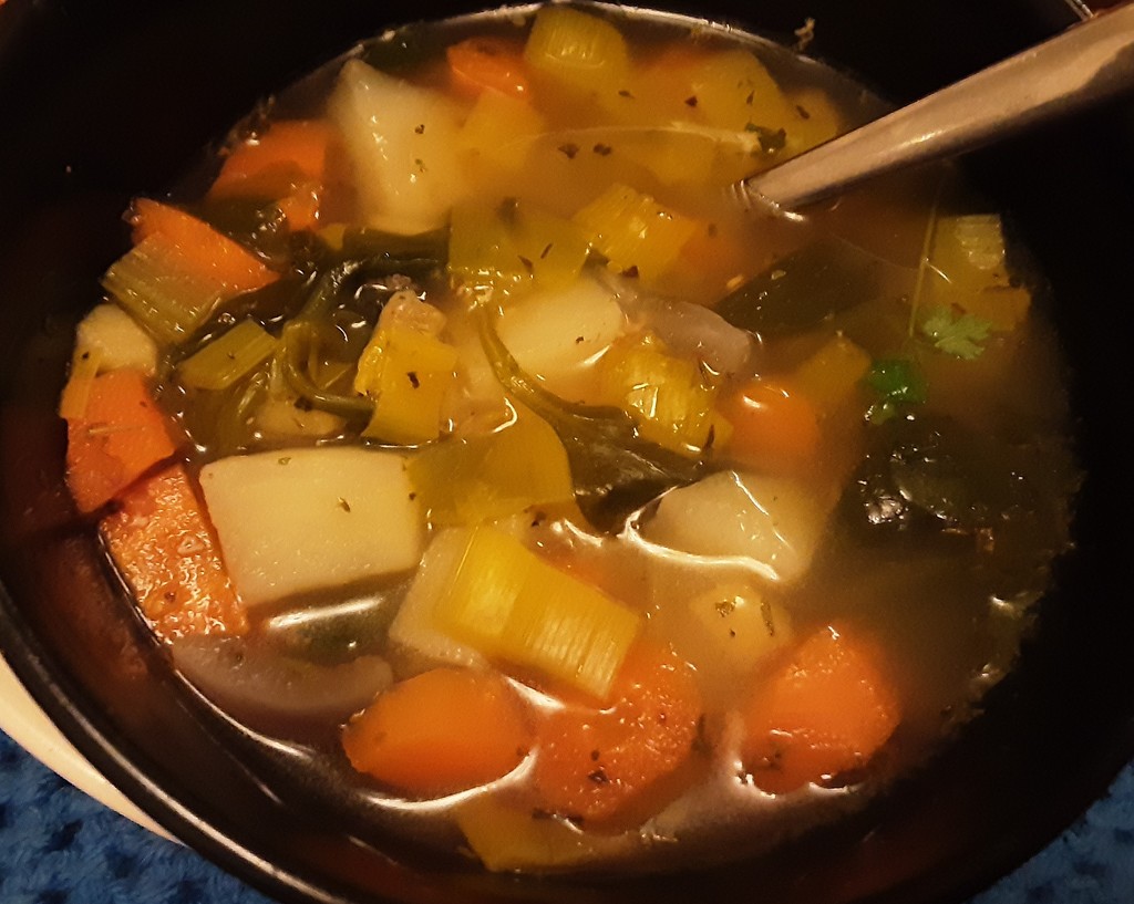 Homemade Vegan soup.  by grace55