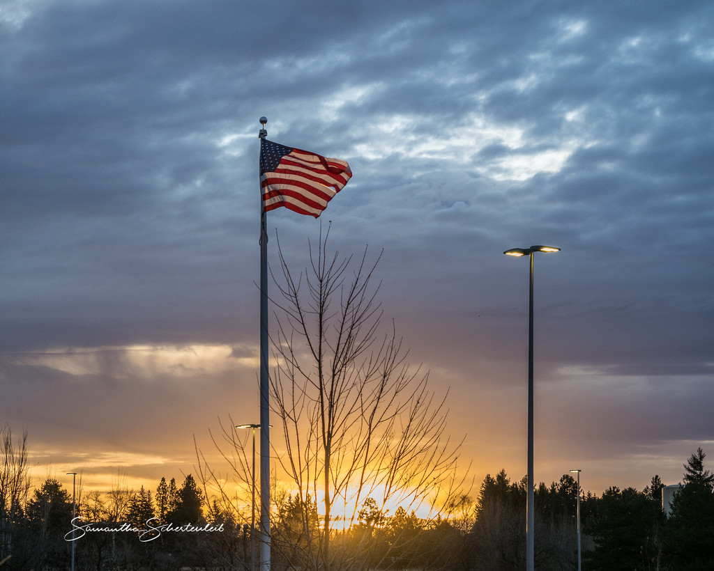 Morning's glory by sschertenleib