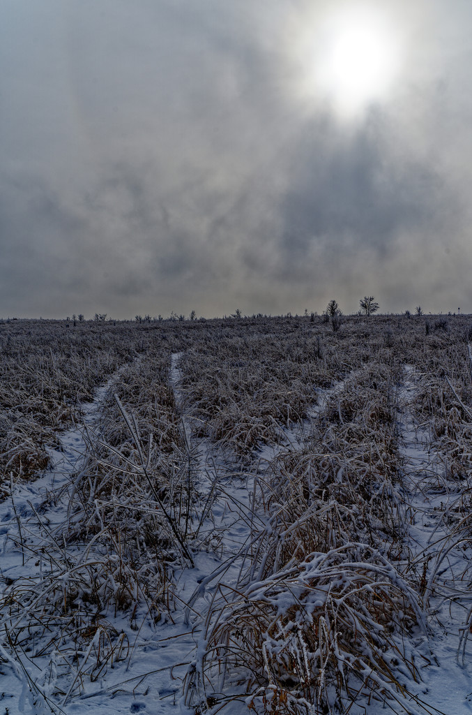Tracks in prairie fields by rminer