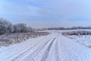 6th Jan 2021 - snowscape road