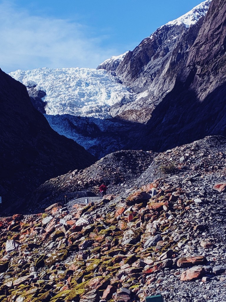 Franz Josef Glacier 2019 by sandradavies