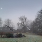 6th Jan 2021 - Misty frosty start to the day 