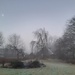 Misty frosty start to the day  by sarah19