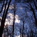 Winter sky over South Carolina... by marlboromaam