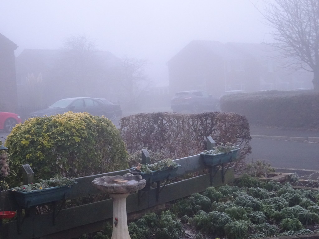 morning fog by arthurclark