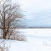 06.01.2021 6/365 St. Lawrence River view to Montreal  by dora