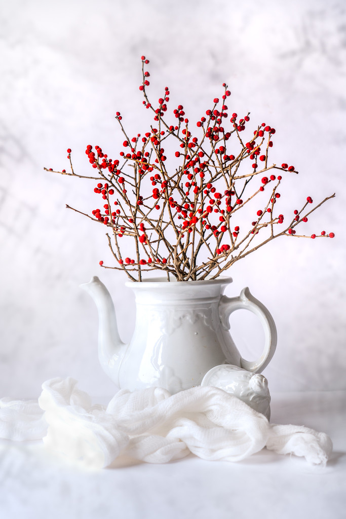 red berries on white by jernst1779