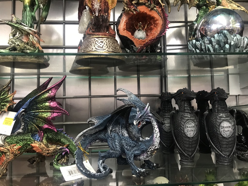 Dragon Section by jnadonza