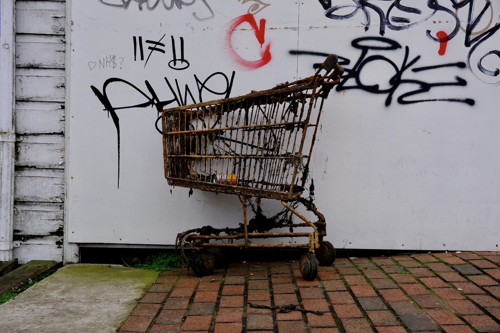 Shopping Trolley by 365nick