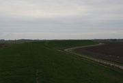 8th Jan 2021 - View from off the top of the dike.