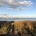 Photographing a view of Charleston Harbor by congaree