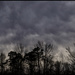 Winter Sky by hjbenson