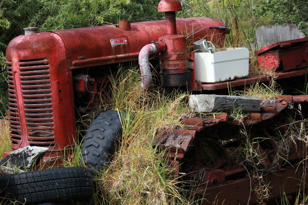 Abandoned tractor by suez1e