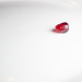 Pomegranate Seed by tdaug80
