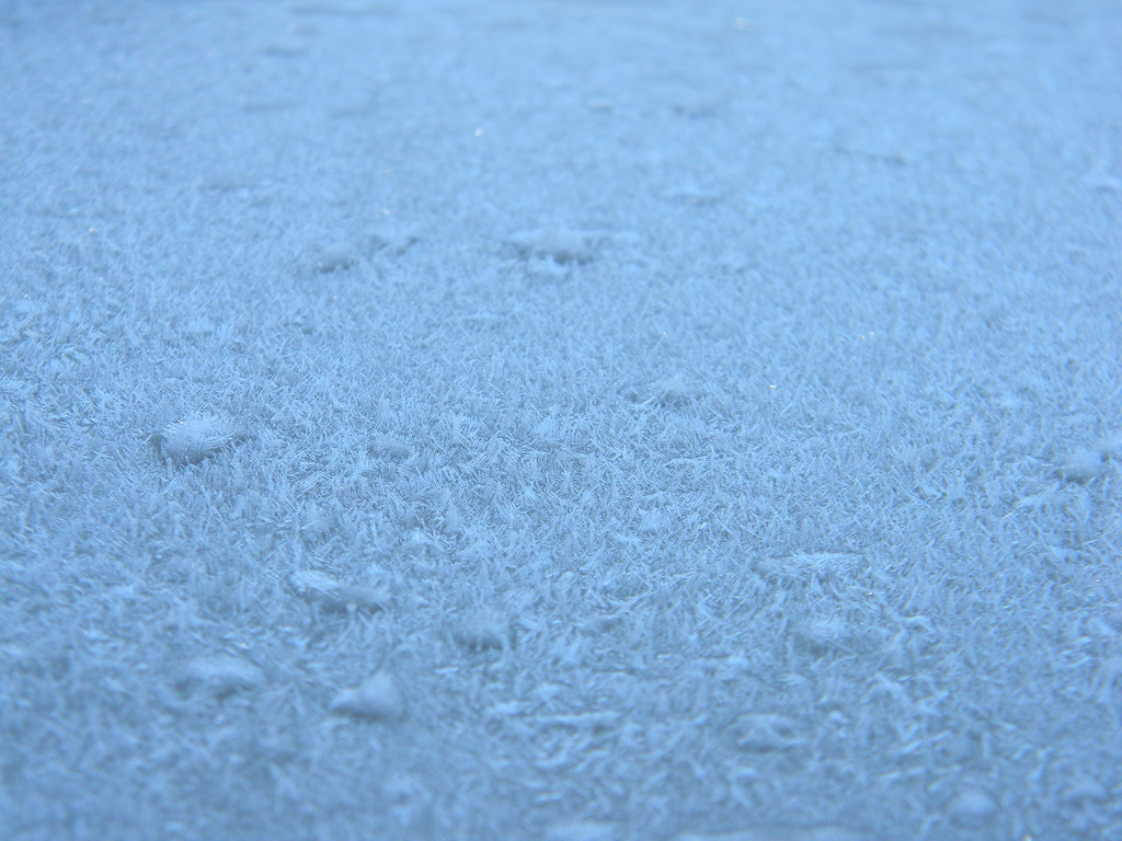 Snow on Back of My Car by sfeldphotos