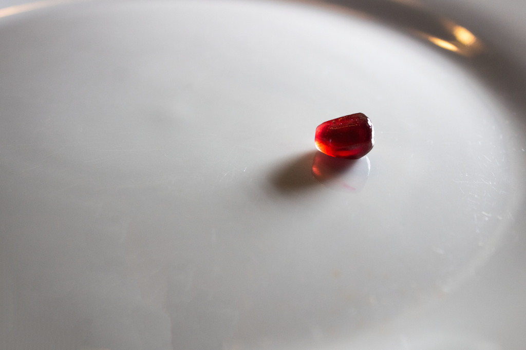 Backlit pomegranate seed by tdaug80