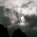 Moonlight Shadows by ajisaac