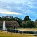 A peaceful afternoon at Hampton Park. by congaree