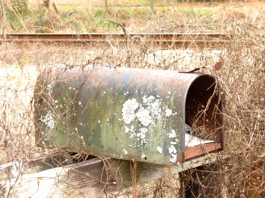 The Last Mailbox Standing by grammyn