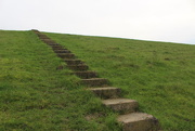 9th Jan 2021 - Steps to....