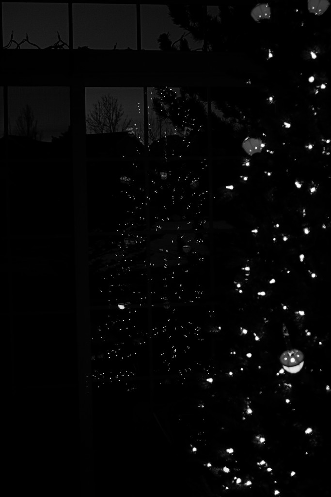 _DSC6441   Christmas reflections in Black and White by dianefalconer