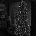 _DSC6437 Christmas Reflections B&W by dianefalconer