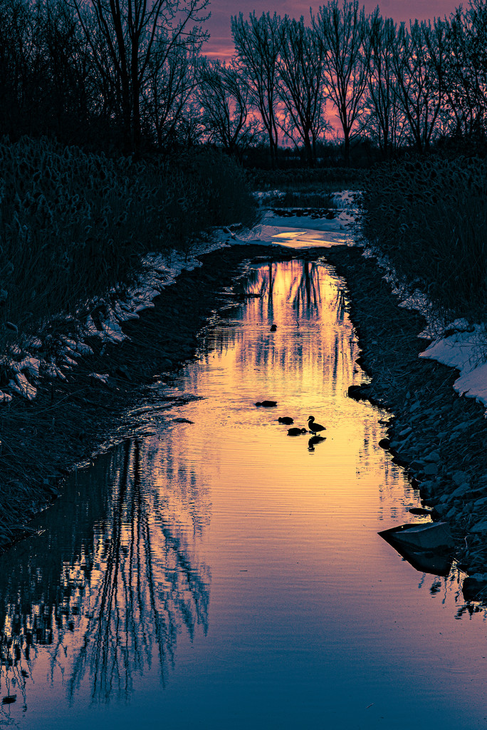 09.01.2021 Ducking Sunset by dora