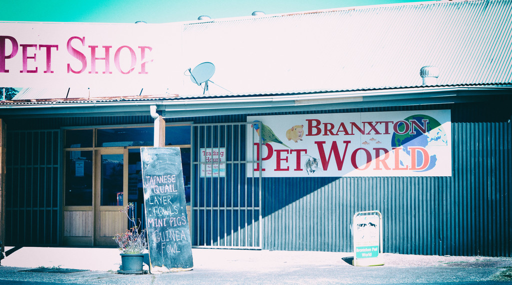 Pet Shop by annied