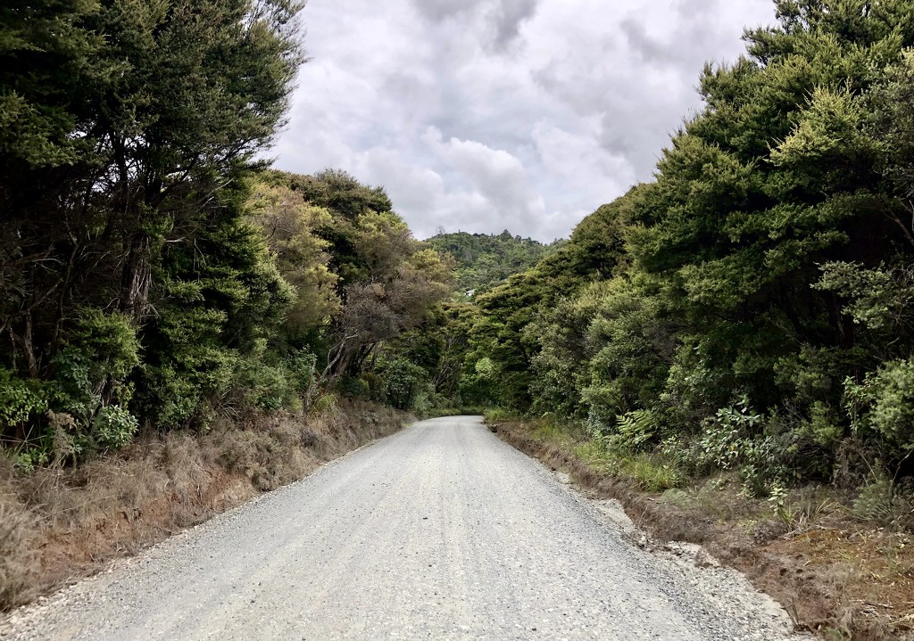 Road to Kaitarakihi  by brigette