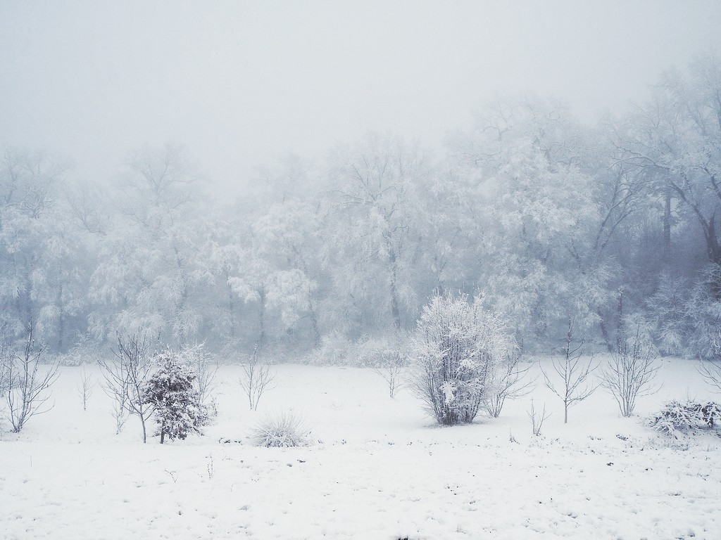 Winter time by monikozi