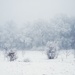 Winter time by monikozi