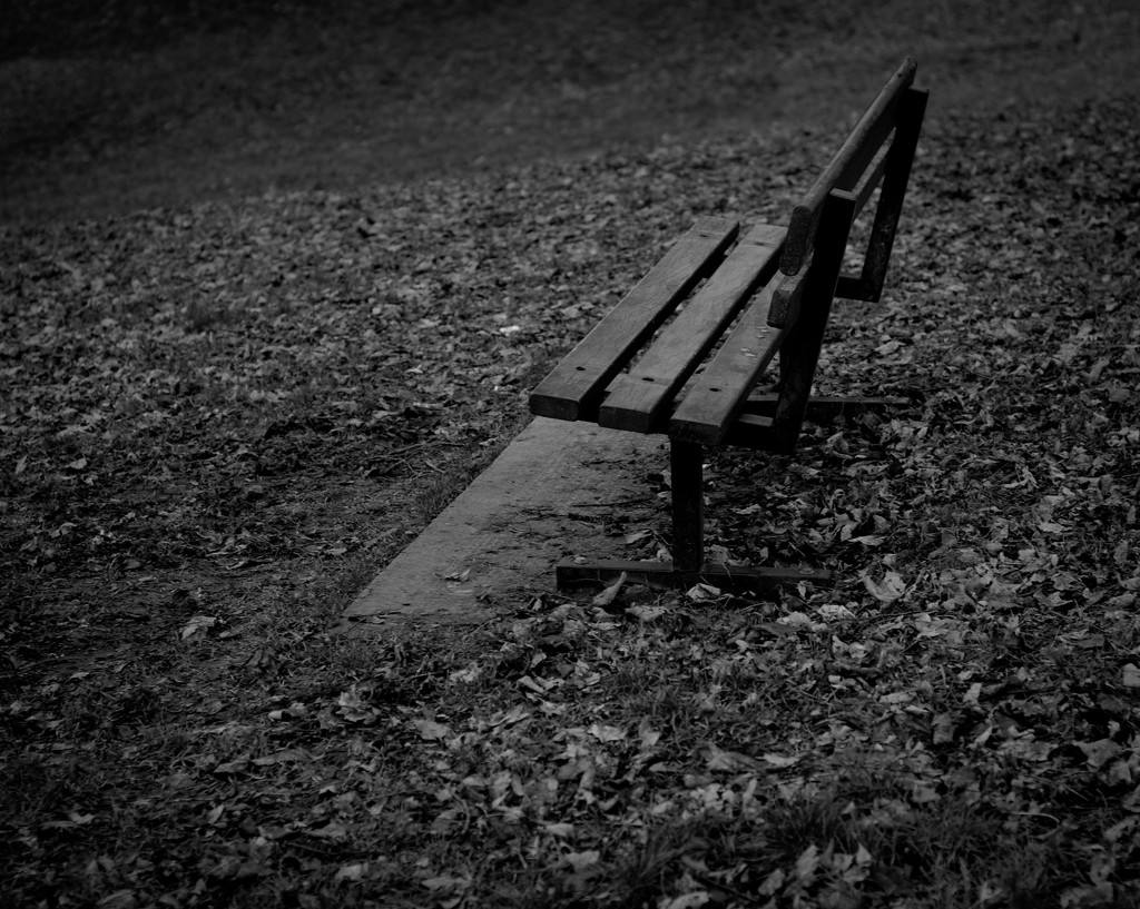 Park bench by tracybeautychick