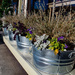Clever planters by theredcamera