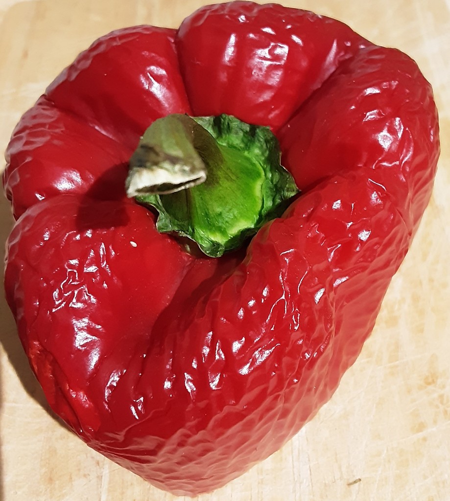 Part of a Red Bell Pepper.  by grace55